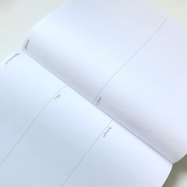 DIY book with 500 drawing prompts (divided into sections)