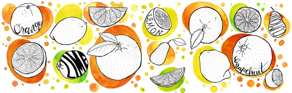 Aquarell- und Fineliner-Illustration. Orangen, Limetten, Kumquats und Zitronen.