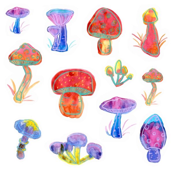 Knallbunte Aquarell-Pilze, die leicht psychedelisch anmuten.